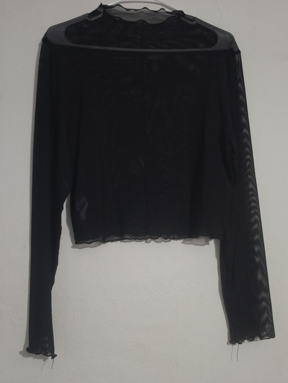 SHEIN Black Sheer Long Sleeve Crop Top